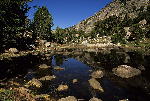 Dad's Landscapes 059