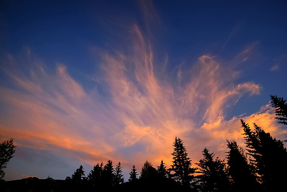 2009-07-24_088