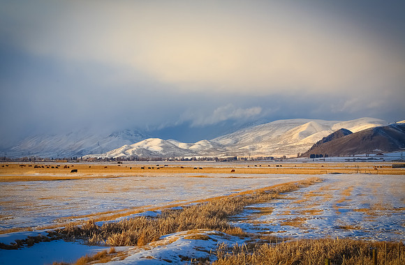 Photo Critique BCall-53