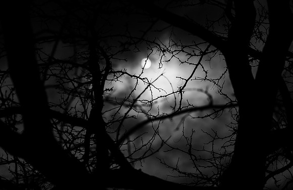 20110515_999