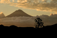 New Zealand