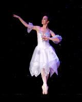 Nutcracker 2008