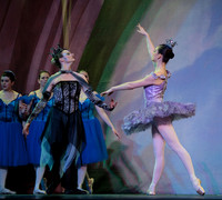 Sleeping Beauty 2011