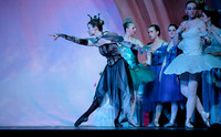 Sleeping Beauty Afternoon